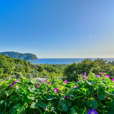 Pataki Studios Petrovac Extérieur photo