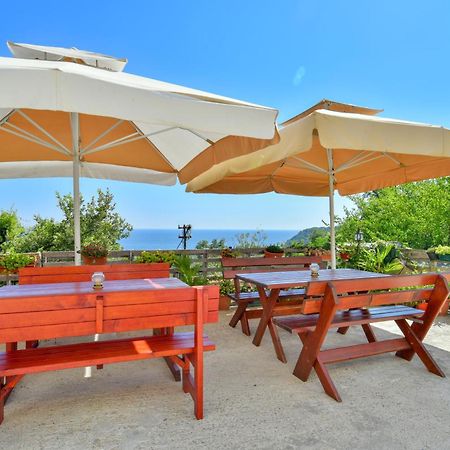 Pataki Studios Petrovac Extérieur photo
