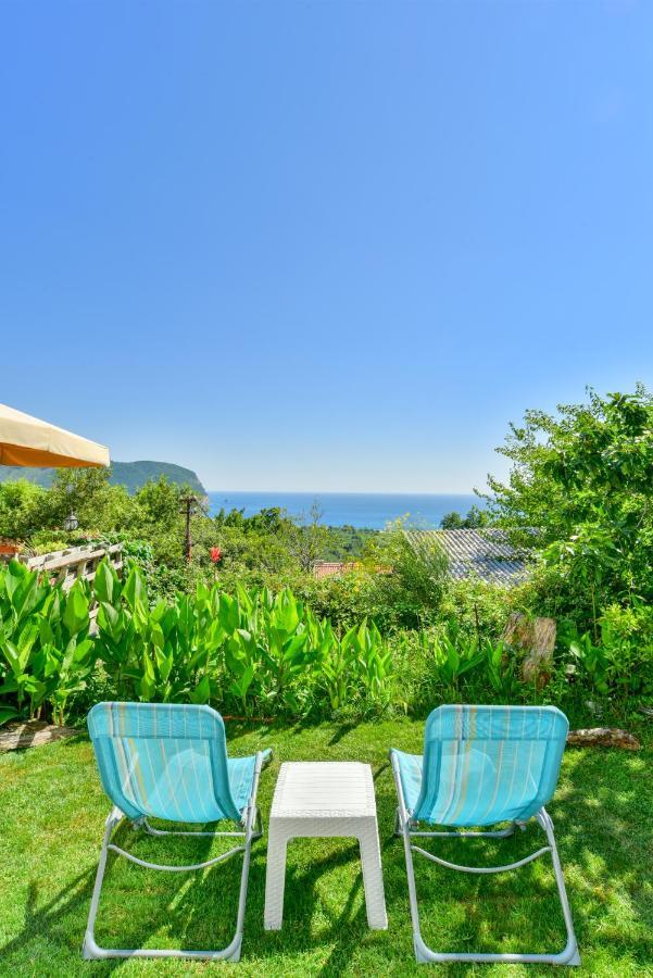 Pataki Studios Petrovac Extérieur photo
