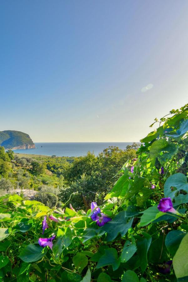 Pataki Studios Petrovac Extérieur photo