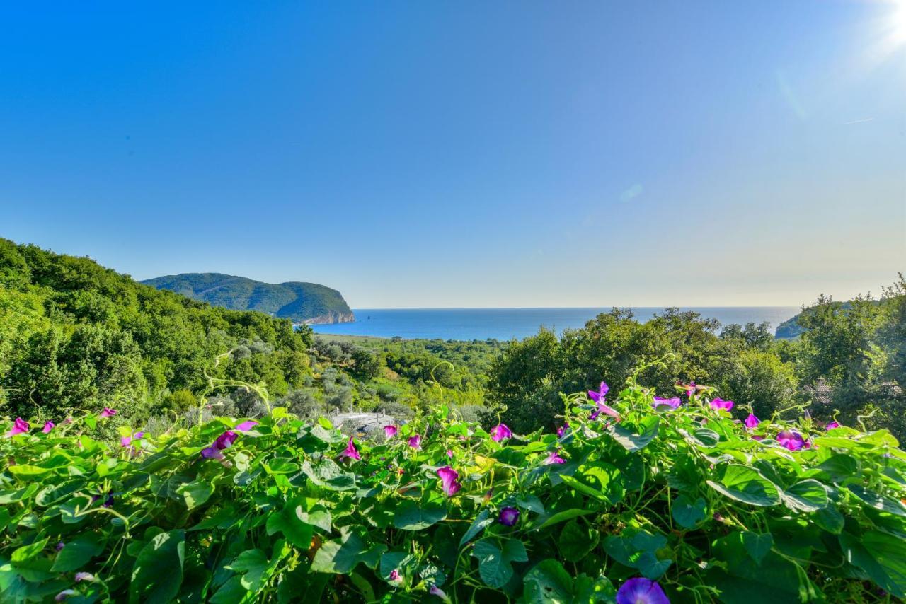 Pataki Studios Petrovac Extérieur photo