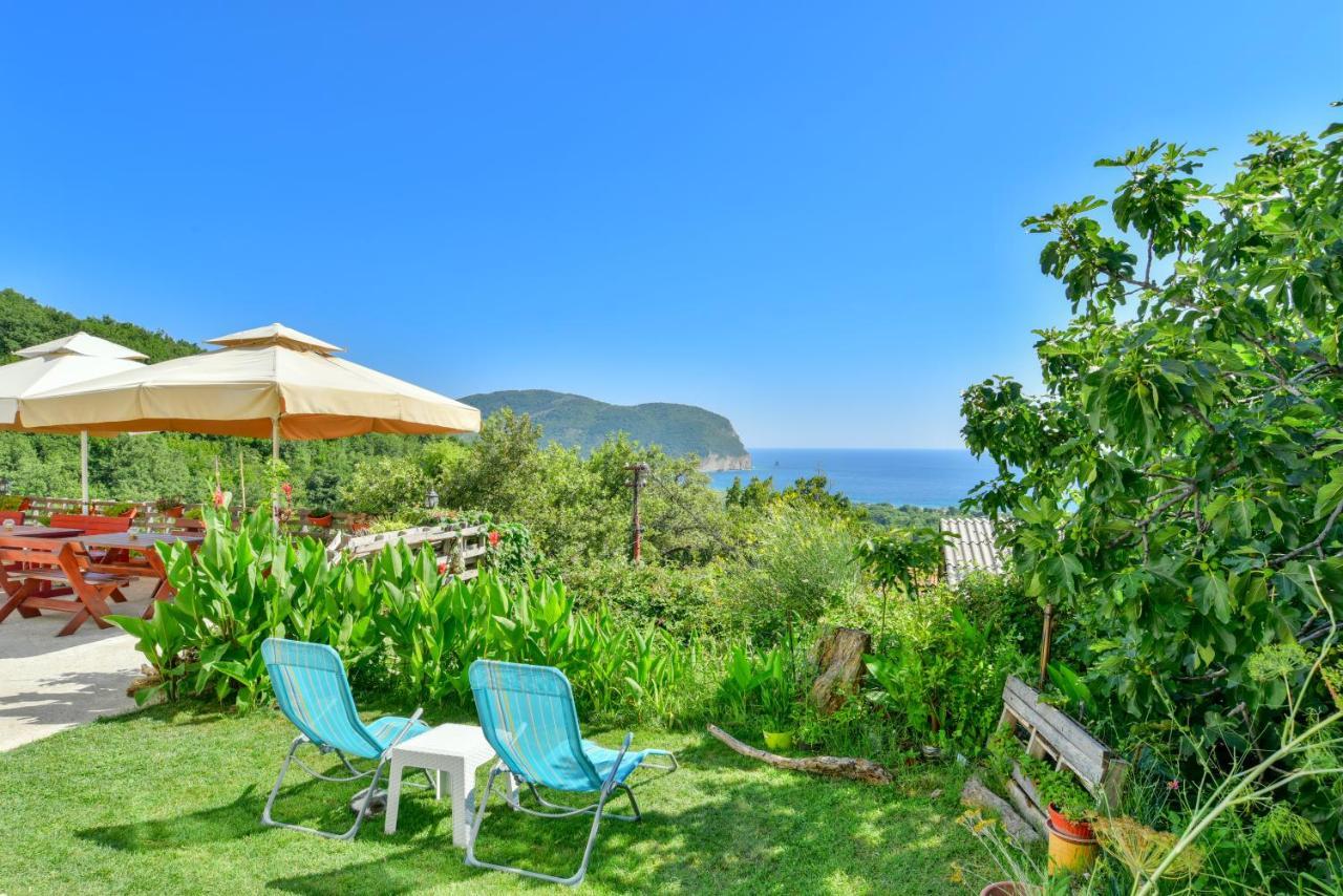 Pataki Studios Petrovac Extérieur photo