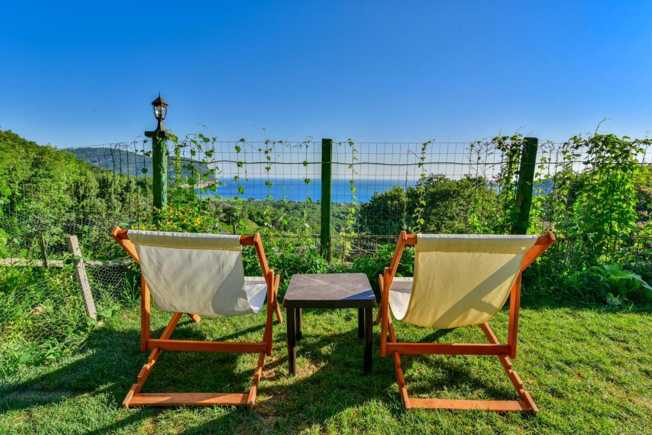 Pataki Studios Petrovac Extérieur photo
