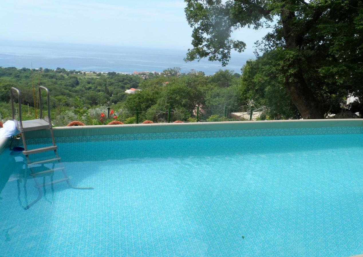 Pataki Studios Petrovac Extérieur photo