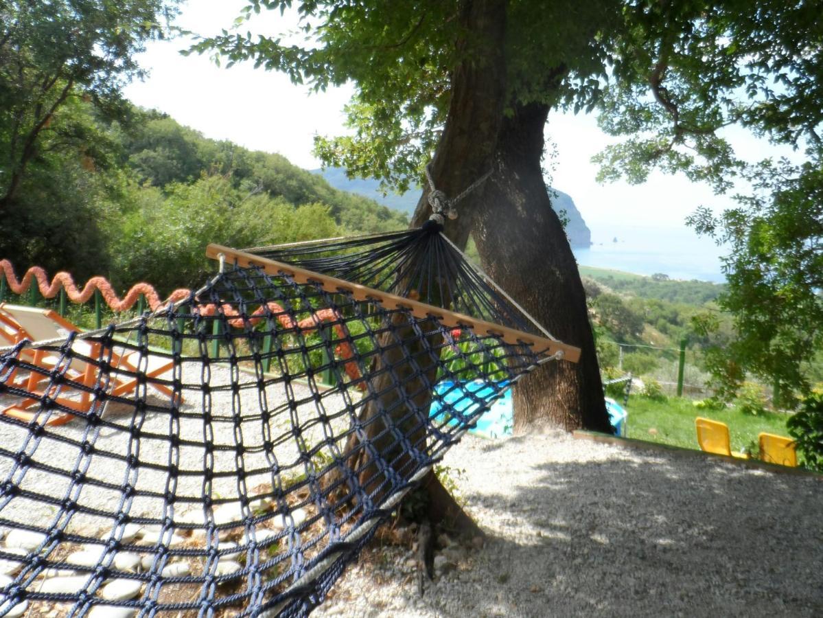 Pataki Studios Petrovac Extérieur photo
