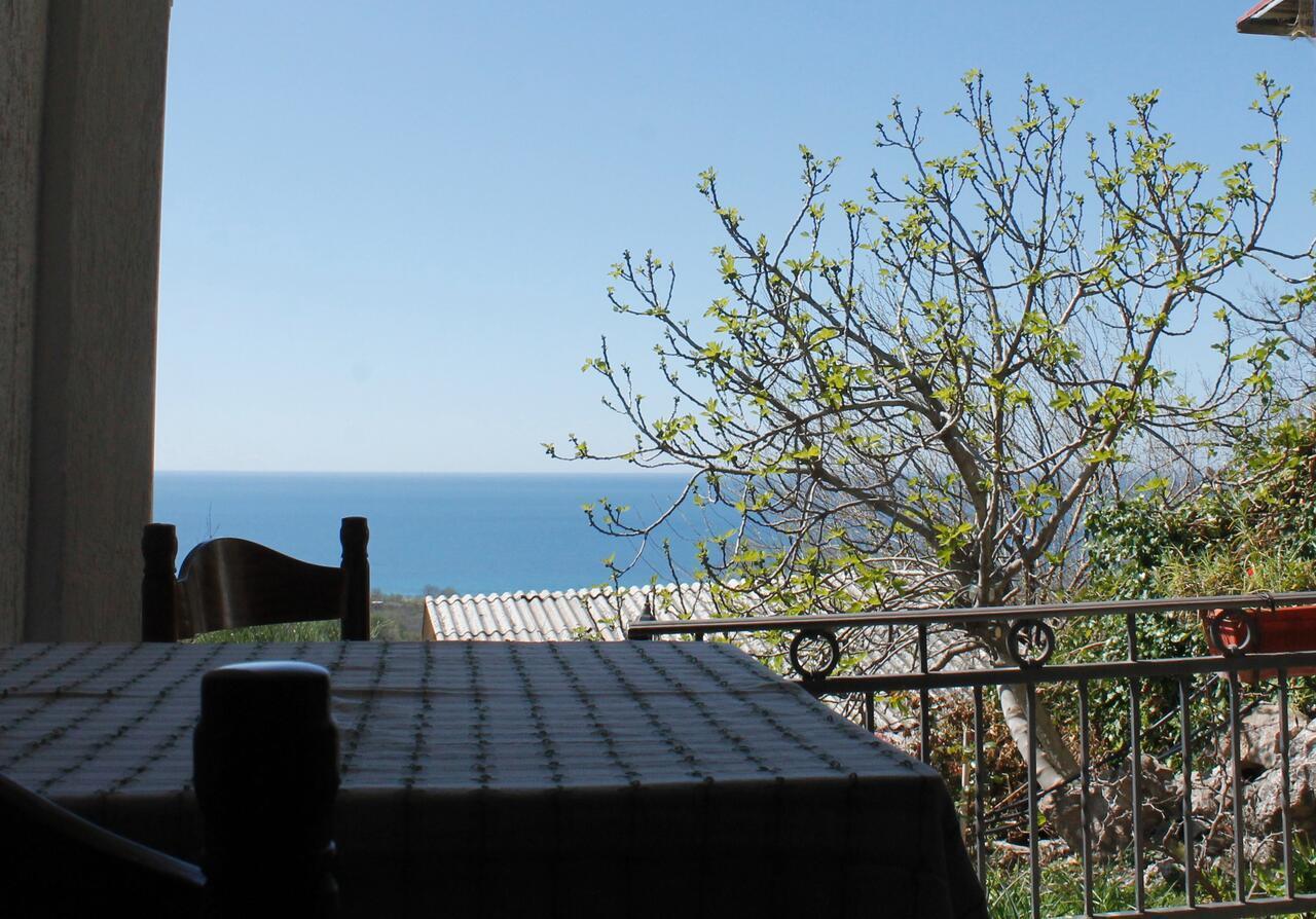 Pataki Studios Petrovac Extérieur photo